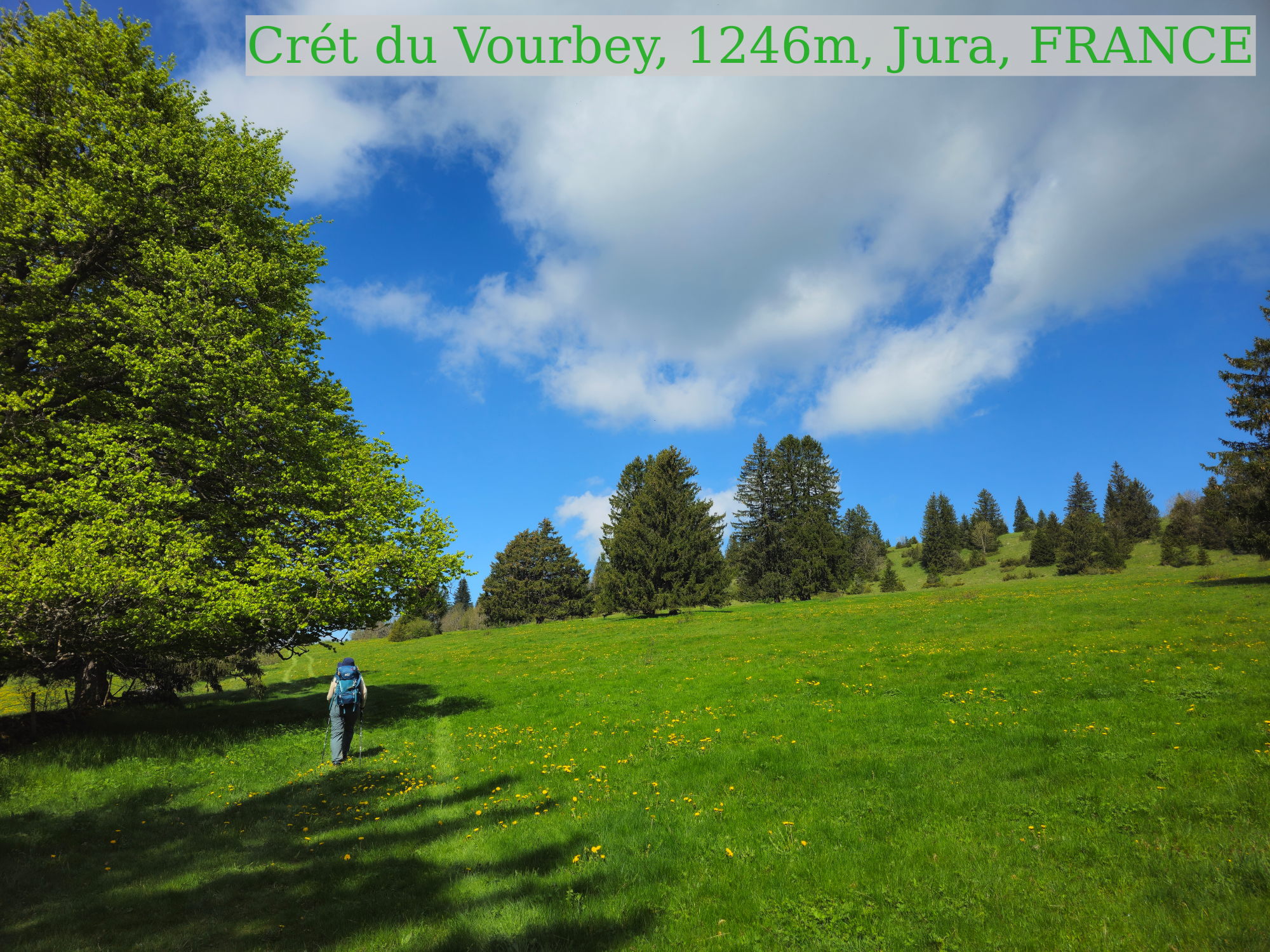 right_picture.jpg -Image for facebook - best 2:1 aspect