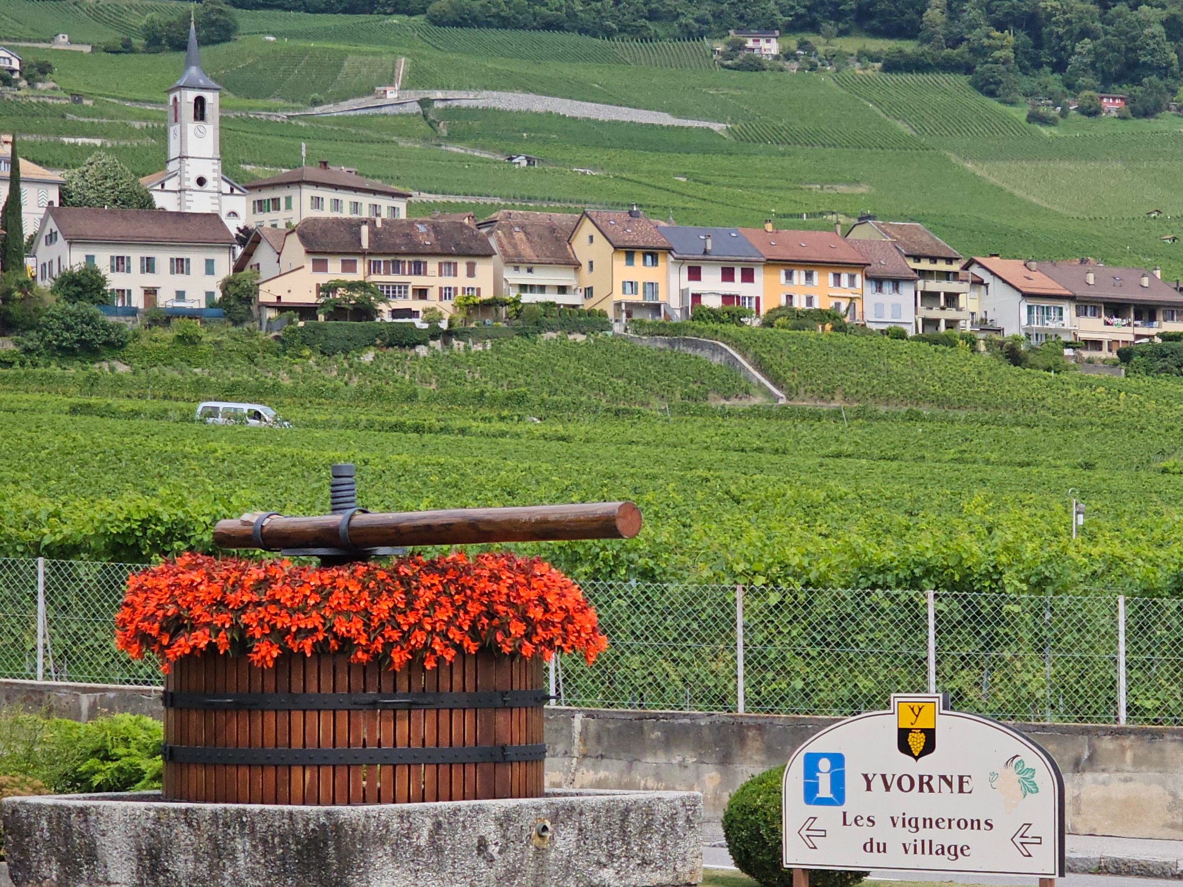 right_picture.jpg -Image for facebook - best 2:1 aspect